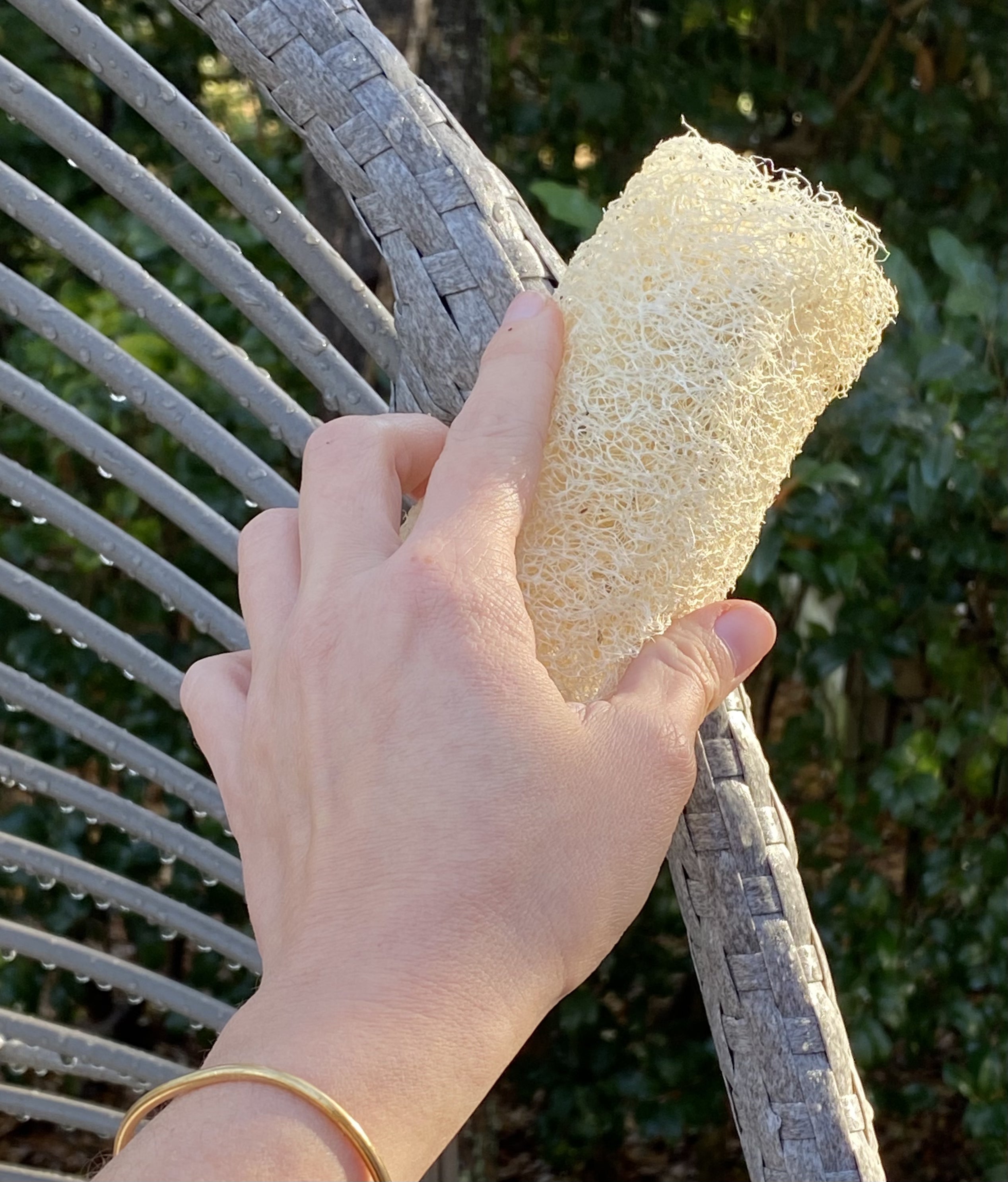 Luffa Sponge