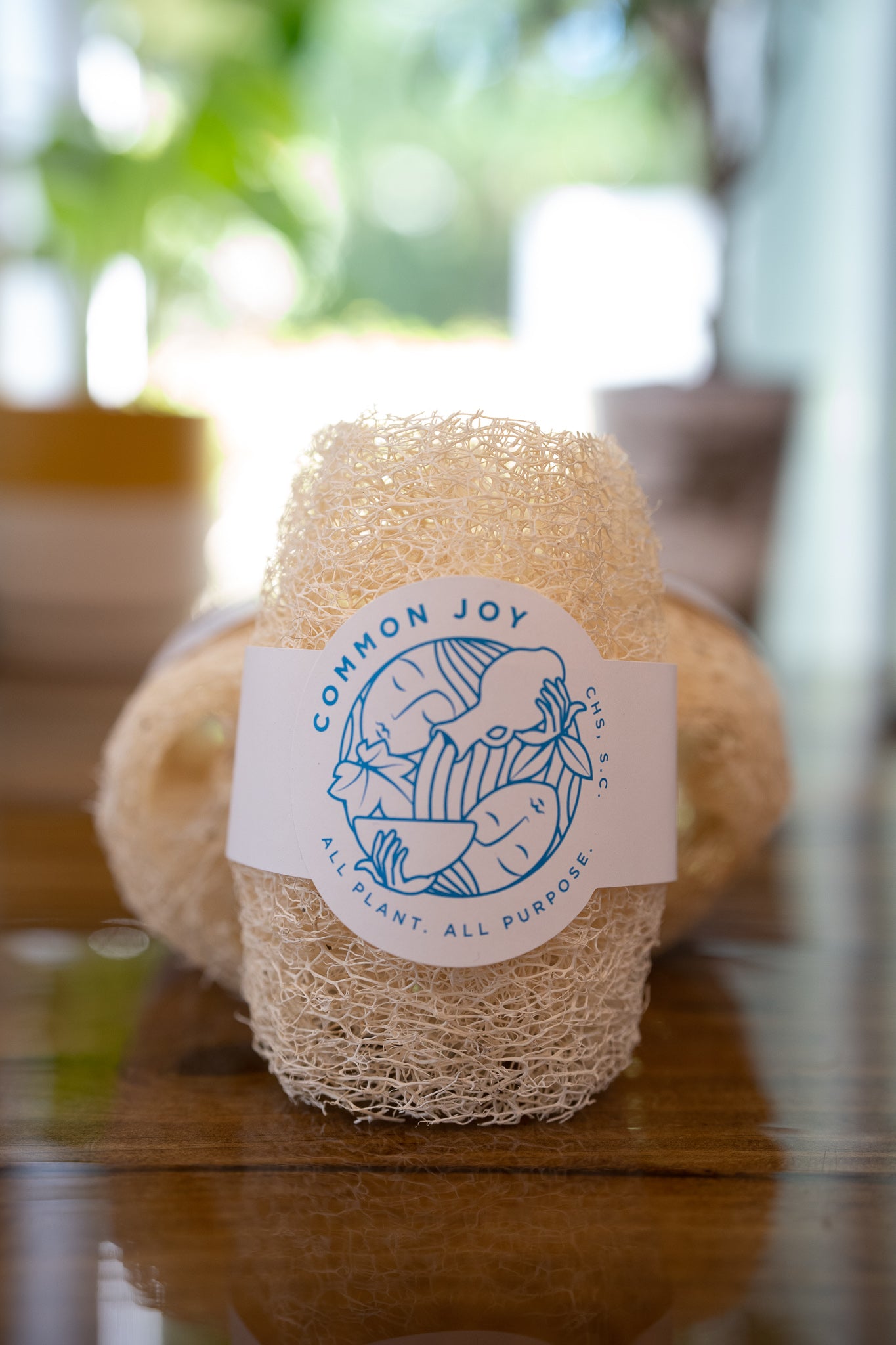 Luffa Sponge